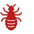 Вши