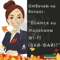 ВОПРОС: Боятся ли тараканы wi-fi (ВАЙ-ФАЙ)?