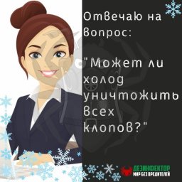 ВОПРОС. Слышала, что если вынести вещи на мороз, то клопы все погибнут. Это так?