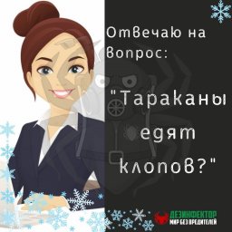 ВОПРОС: Тараканы едят клопов. Так ли это?