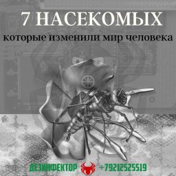 7 Насекомых, которые изменили мир человека