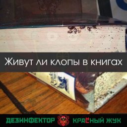 Живут ли постельные клопы в книгах.