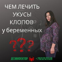 Чем лечить укусы клопов у беременных?