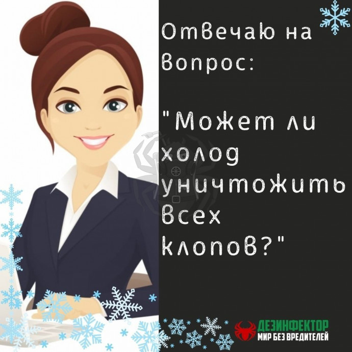 ВОПРОС. Слышала, что если вынести вещи на мороз, то клопы все погибнут. Это так?