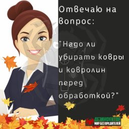 ВОПРОС. В квартире везде на полу ковролин и ковры на стенах. Надо ли их убирать перед обработкой от 