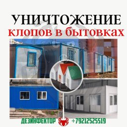 Уничтожение клопов в строительных бытовках