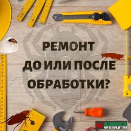 ВОПРОС: Обработку квартиры надо делать до или после ремонта?