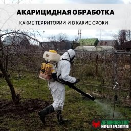 Акарицидная обработка. Какие территории и в какие сроки