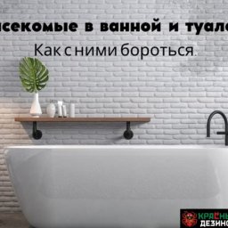 Насекомые в ванной и туалете. Как с ними бороться.