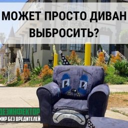 В диване клопы. Может выкинуть диван?