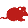 Мыши
