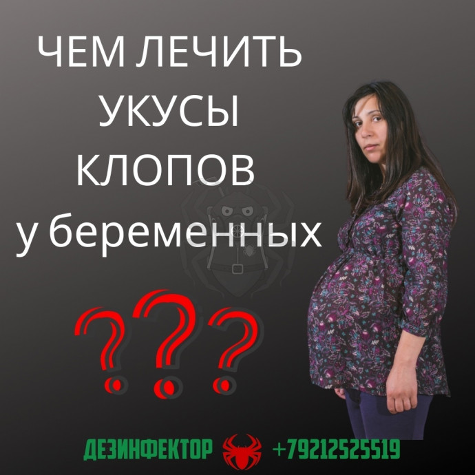 Чем лечить укусы клопов у беременных?