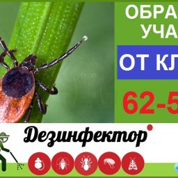 Успевайте заказать обработку от клещей и комаров!