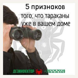 5 Признаков, что тараканы уже в вашем доме.