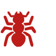 Муравьи