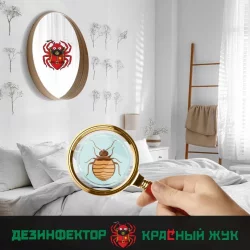 Кто-то кусается, но никого не нашли?