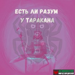 Есть ли разум у тараканов?