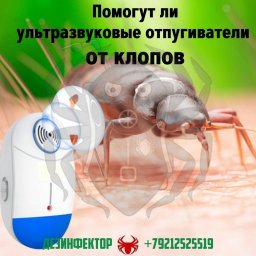 Помогут ли ультразвуковые отпугиватели от клопов?