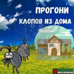 Хотите в новом году забыть о клопах?